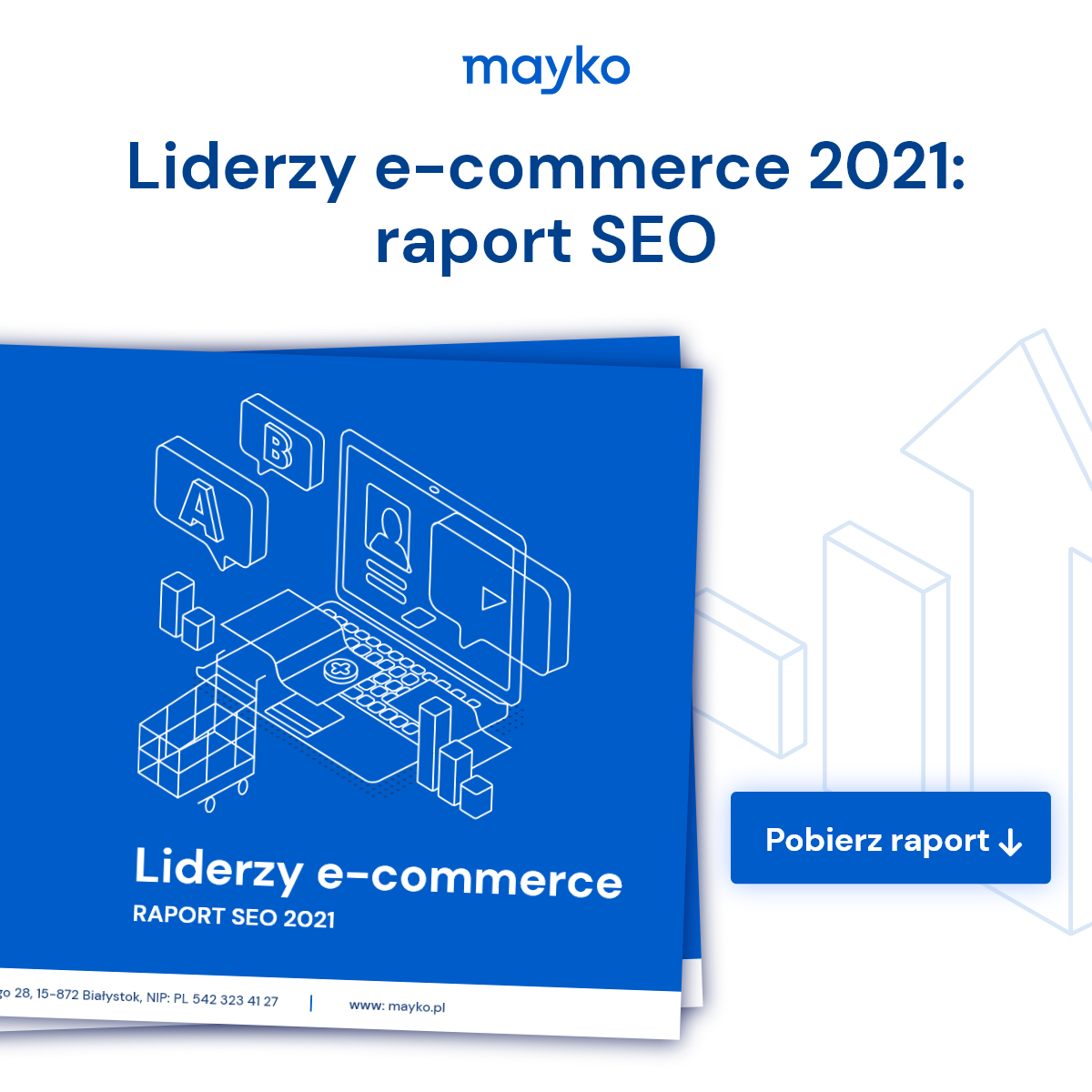 Raport SEO Liderzy e-commerce 2021