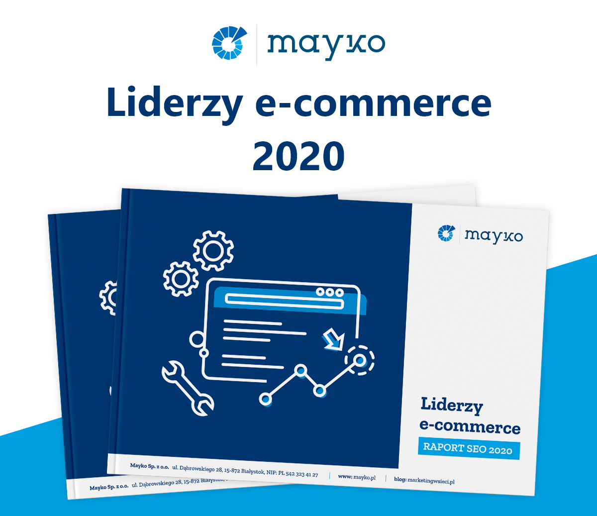 Raport SEO Liderzy e-commerce 2020