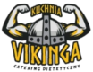 viking logo